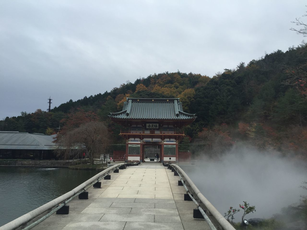 built structure, architecture, tree, sky, water, building exterior, the way forward, cloud - sky, railing, steps, leading, day, nature, outdoors, growth, roof, tranquility, cloud, house, incidental people