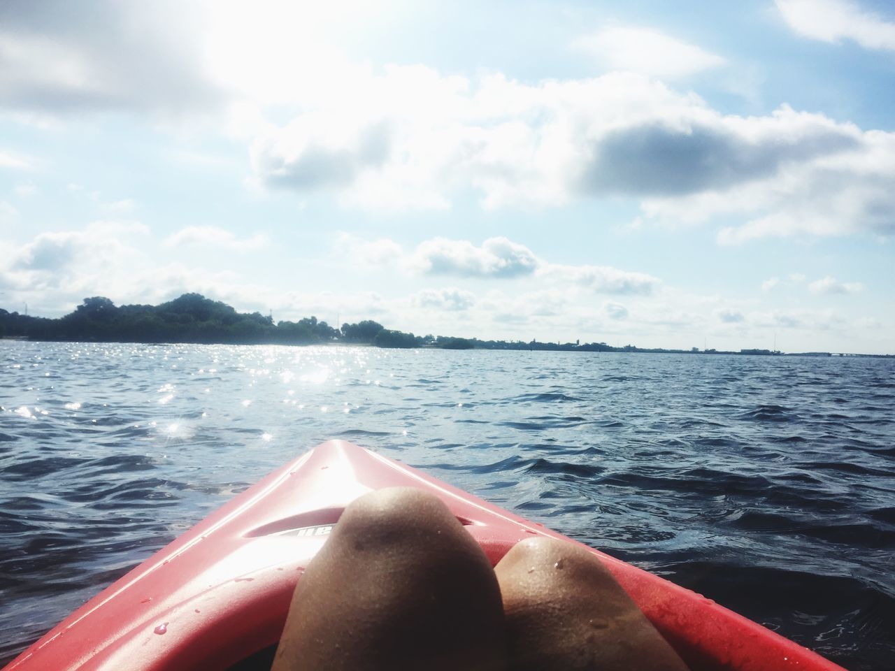 Followed a manatee