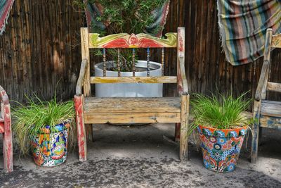 Potted plants hanging outside building