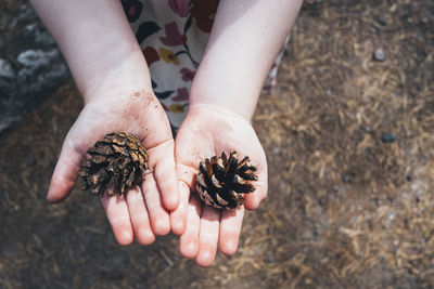 Child holding pine cones