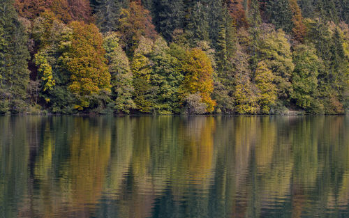 Autumn landscape in italian dolomites in italy lago di tovel