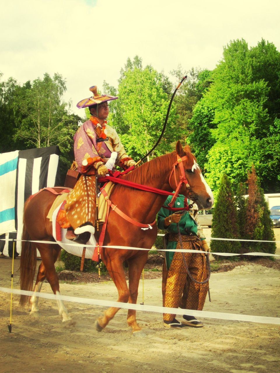 horse, tree, working animal, domestic animals, animal themes, sky, livestock, mammal, bridle, herbivorous, men, brown, full length, two animals, day, outdoors, transportation, one animal, horse cart