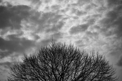 Low angle view of silhouette bare tree against sky