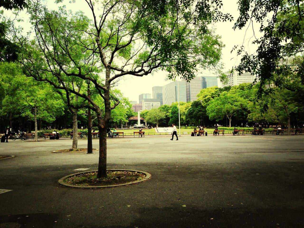 tree, building exterior, architecture, city, built structure, street, men, city life, park - man made space, walking, park, person, road, incidental people, footpath, large group of people, sky, lifestyles, tower