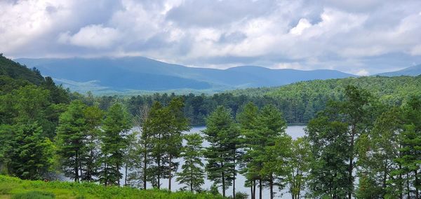 Panoramic view of trees on landscape against sky