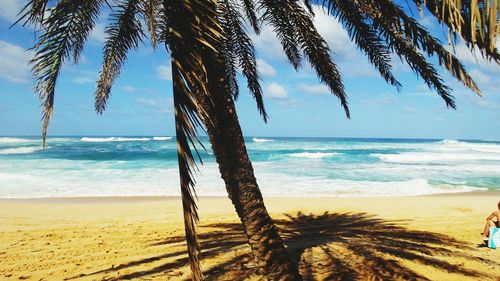 Scenic view of beach under palmtree against sky