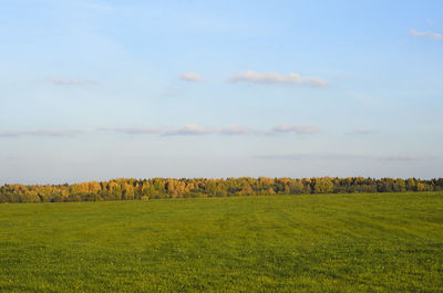 Scenic view of field against sky