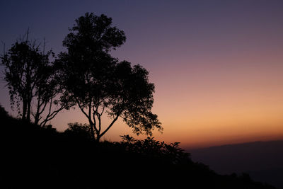 Low angle view of silhouette trees against sky during sunset