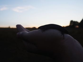 Close-up of silhouette hand against sky during sunset