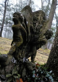 Close-up of statue against trees