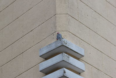 High angle view of person on tiled floor