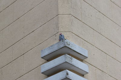 High angle view of person on tiled floor