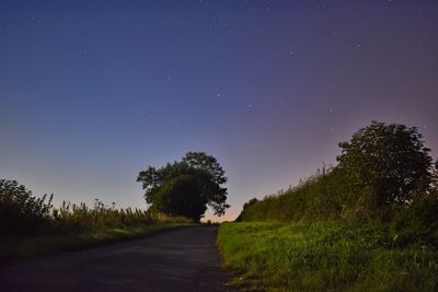 Road amidst trees on field against clear sky at night