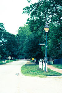 Road sign by trees