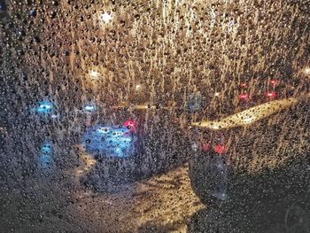 Close-up of wet car window