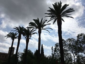 Low angle view of palm trees against sky