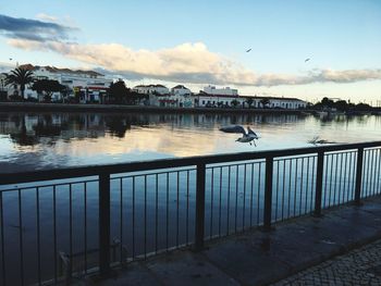 Scenic view of river by city against sky