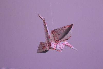 Close-up of butterfly flying over pink background