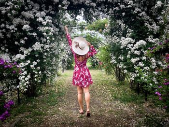 Full length of woman standing by pink flowering tree