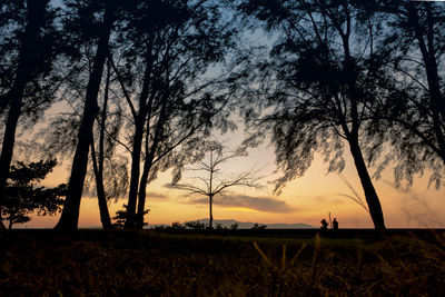 Silhouette trees on field against sky at sunset