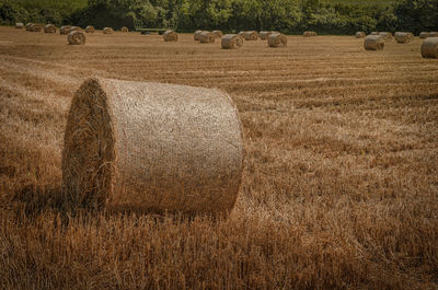 Hay bales on field