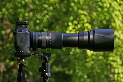 Close-up of camera against trees