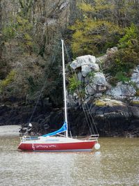 Sailboats moored on river by trees in forest