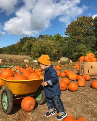 Full length of boy standing by pumpkins against sky