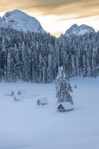 Scenic view of snow covered field against sky
