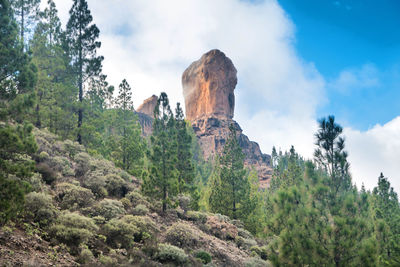 Panoramic view of trees and rocks against sky