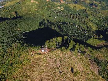 High angle view of agricultural field