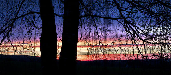 Silhouette trees in forest against sky at sunset