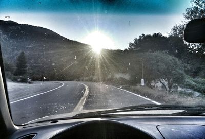 Road passing through forest