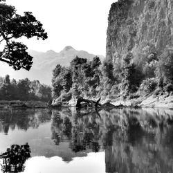 Reflection of trees in lake