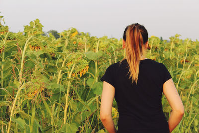 Rear view of woman standing by sunflowers at farm