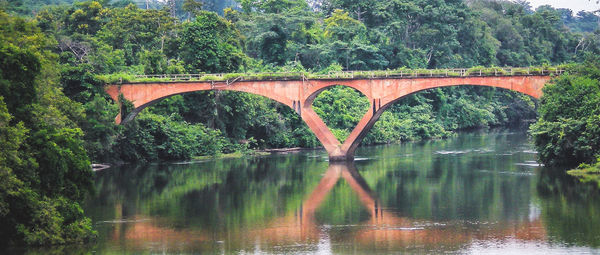 Bridge over river against trees