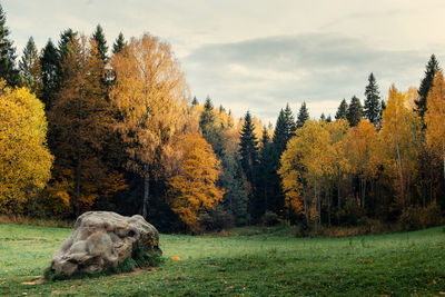 View of autumn trees on field against sky