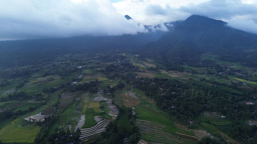 environment
