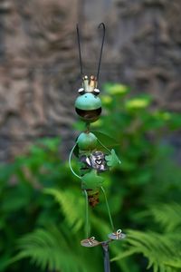 Close-up of green beetle on wooden surface