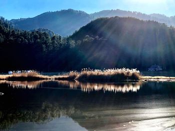 Scenic view of lake by trees against sky