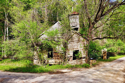 Old abandoned house amidst trees and plants