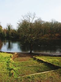 Scenic view of lake and grassy field against sky