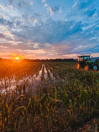 Scenic view of field against sky during sunset