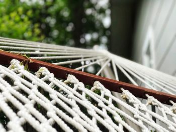 Close-up of rope tied on wood