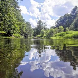 Reflection of trees in lake