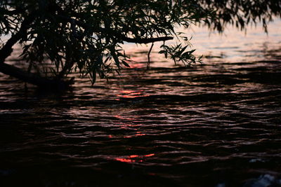 Scenic view of sea during sunset