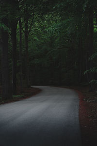 Empty road amidst trees in forest