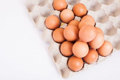 High angle view of eggs against white background