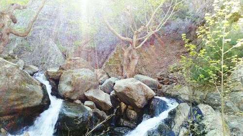 River flowing through rocks