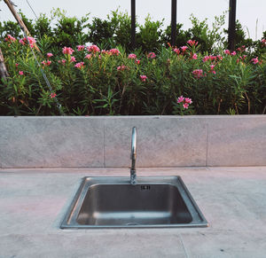 Outdoors lavatory in the middle of exotic garden on the roof top